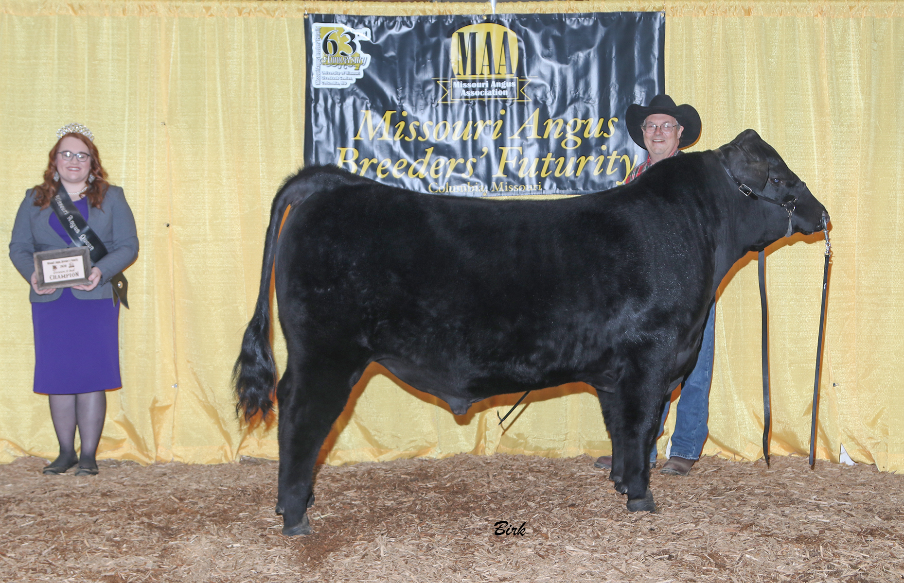 WRR Angus Cattle for Sale